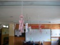/album/cuerpo-humano/cuerpo-humano2-6-jpg/